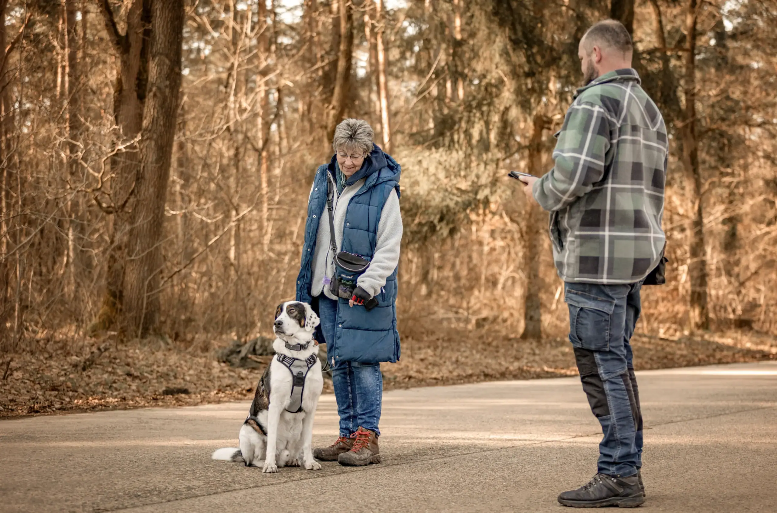 Eine Hundehalterin mit ihrem Hund und Trainer Meik auf einem Waldweg