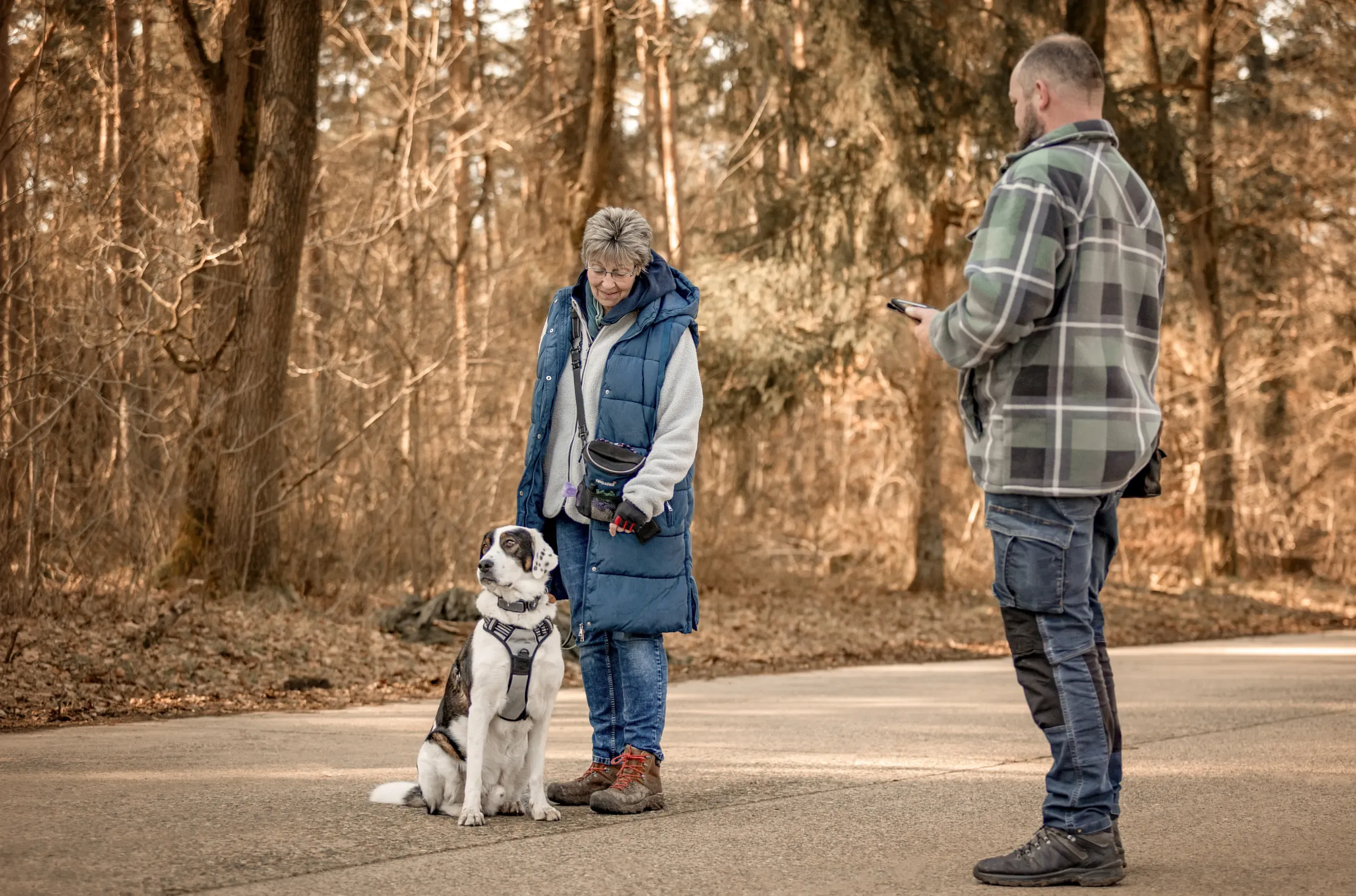 Eine Hundehalterin mit ihrem Hund und Trainer Meik auf einem Waldweg