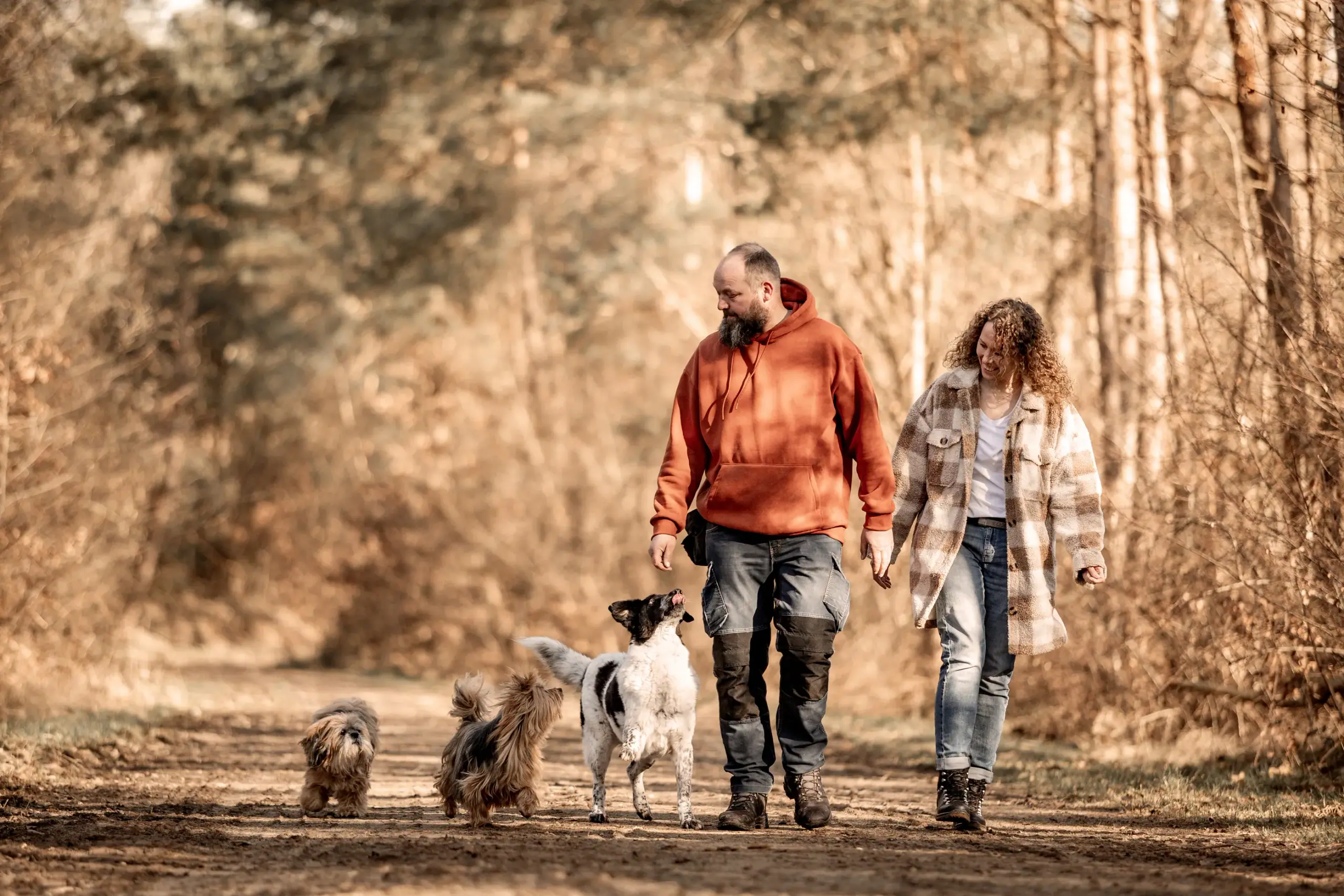 Meik und Sandra gehen mit ihren Hunden durch den Wald