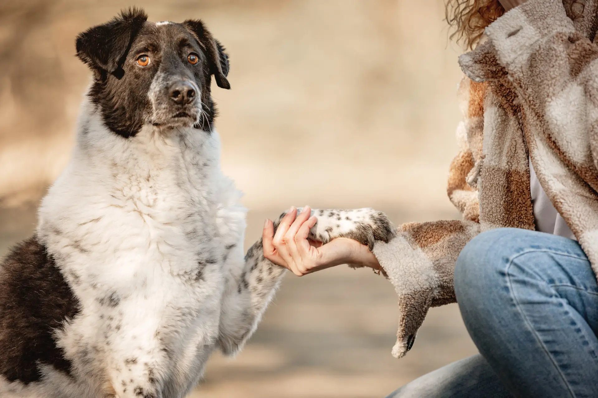Sandra von der Hundeschule Klippo kniet auf dem Boden hält die Pfote eines Hundes in der Hand, beide schauen in die Kamera