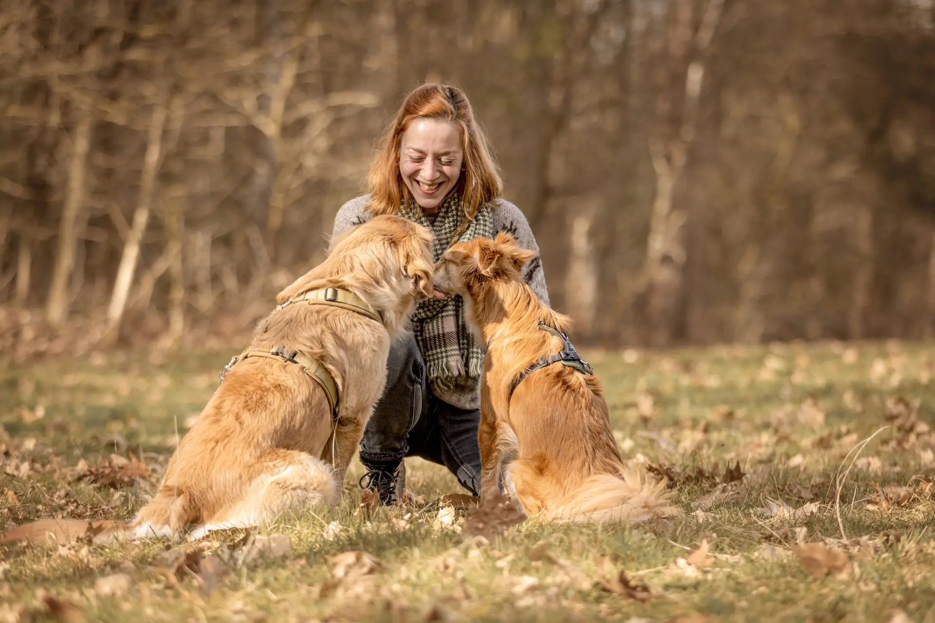 Lächelnde Hundebesitzerin streichelt ihre Hunde, sie kniet dabei auf dem Waldboden